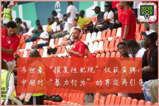 韦世豪“报复性犯规”仅获黄牌，中超对“暴力行为”的界定再引争议