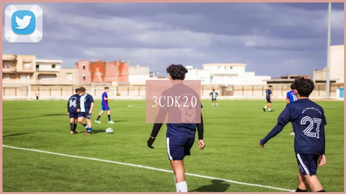 3CDK20