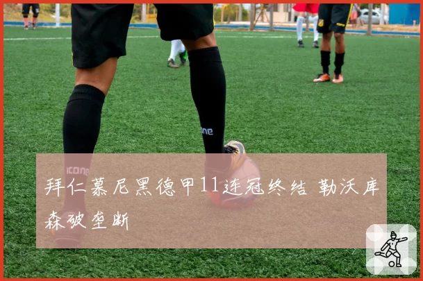 拜仁慕尼黑德甲11连冠终结 勒沃库森破垄断