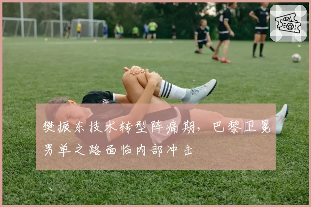 樊振东技术转型阵痛期，巴黎卫冕男单之路面临内部冲击