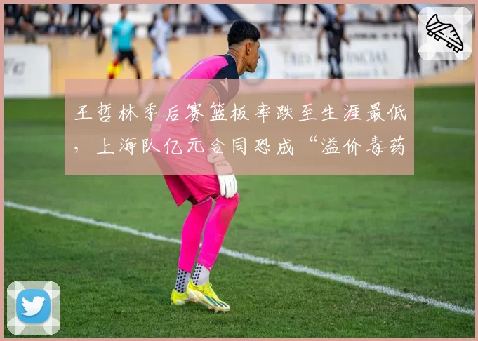 王哲林季后赛篮板率跌至生涯最低，上海队亿元合同恐成“溢价毒药”